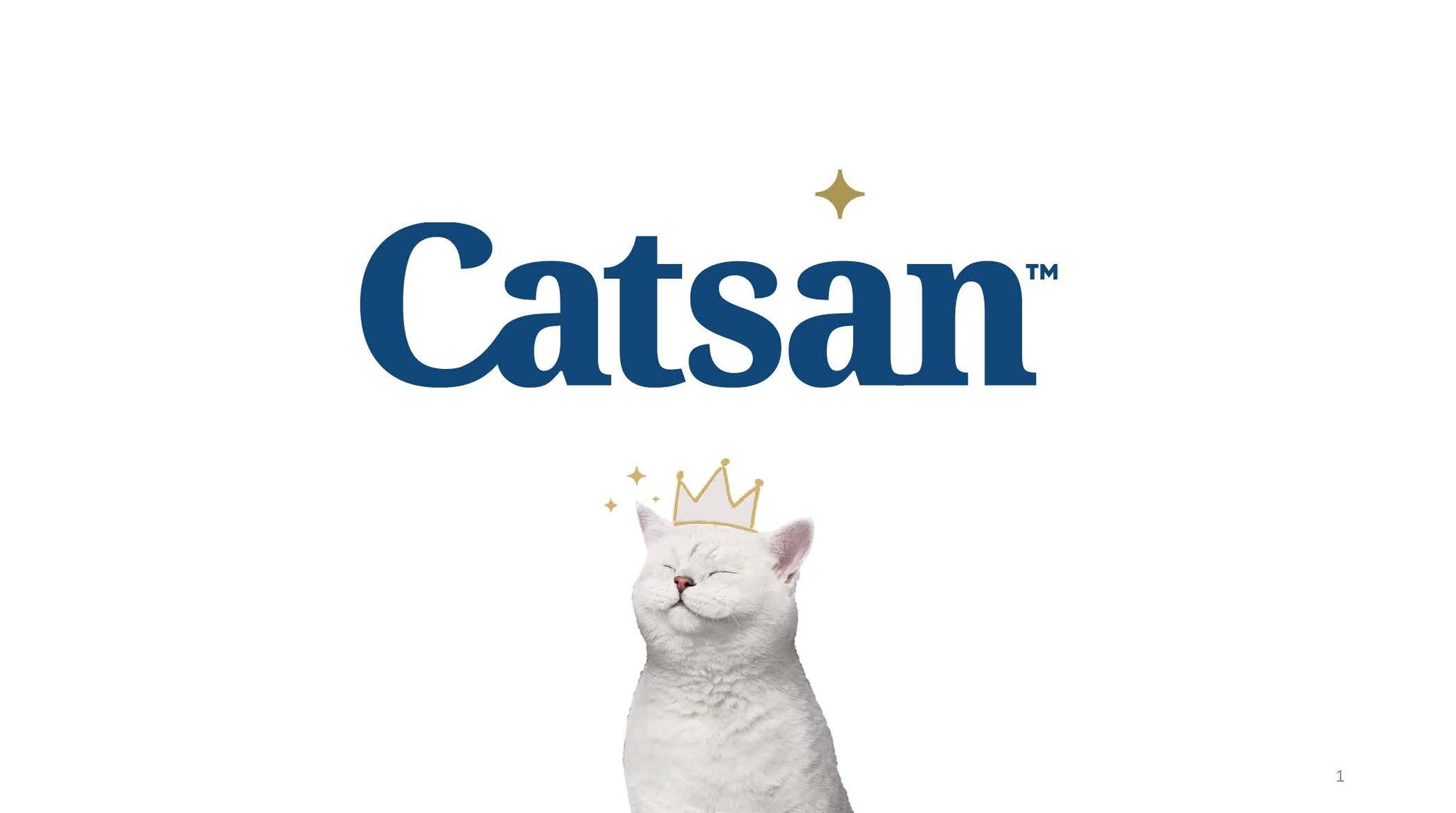 Catsan Rebrand One pager__Page_1