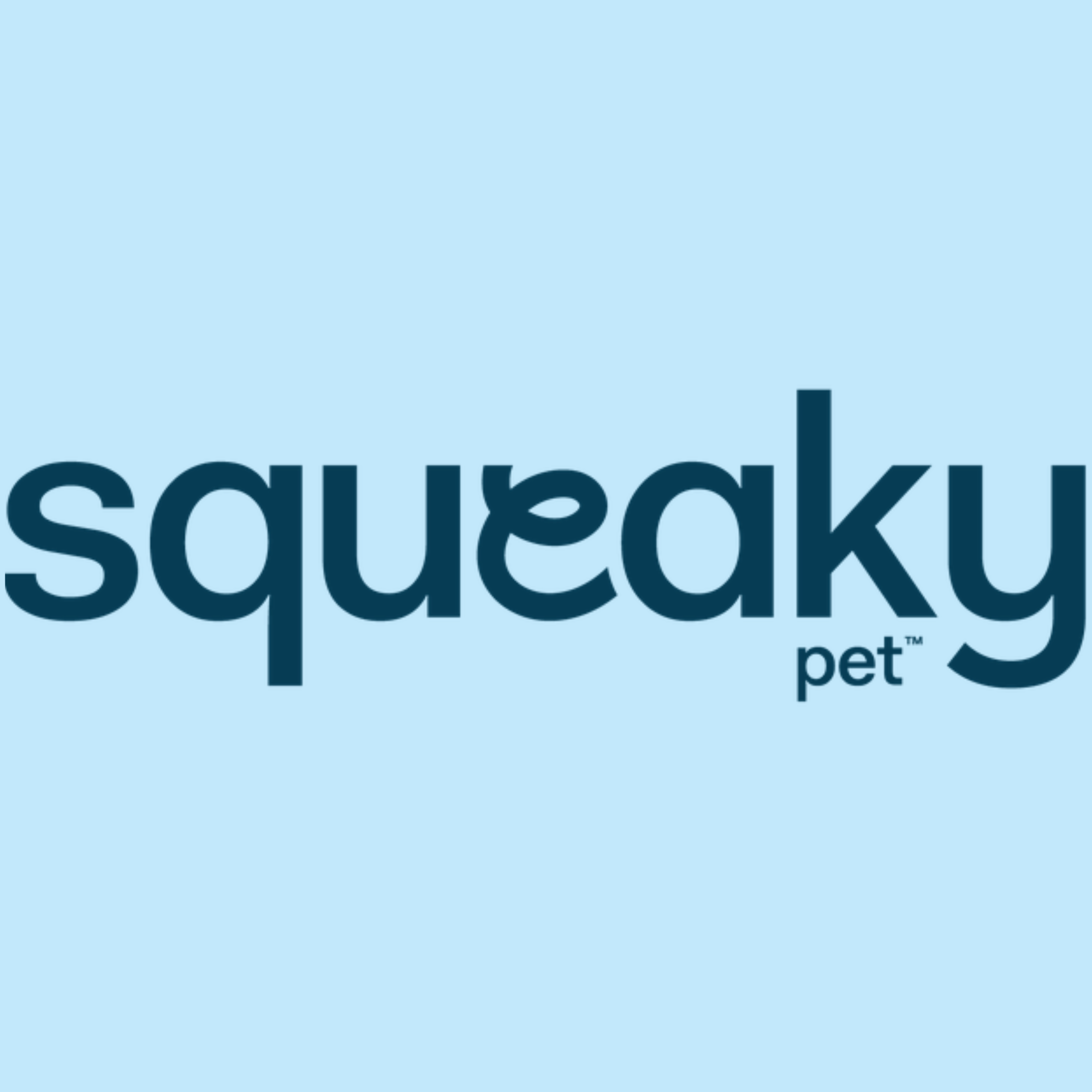 SQUEAKY PET