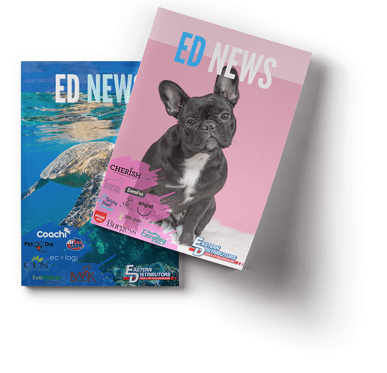 EDNews mockup